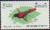 Maroon Oriole (Oriolus traillii) - Wiki