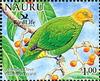 Whistling Fruit Dove (Ptilinopus layardi) - Wiki
