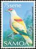 Many-coloured Fruit-dove (Ptilinopus perousii) - Wiki