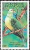 Grey-green Fruit-dove (Ptilinopus purpuratus) - Wiki