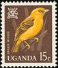 Orange Weaver (Ploceus aurantius) - Wiki