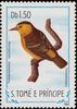 Sao Tome Weaver (Ploceus sanctithomae) - Wiki