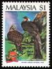 Crested Argus Pheasant (Rheinardia ocellata) - Wiki