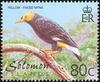 Long-tailed Myna (Mino kreffti) - Wiki