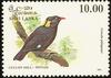 Sri Lanka Myna (Gracula ptilogenys) - Wiki