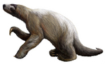 Nothrotheriops shastensis (Shasta ground sloth)