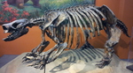 Paramylodon harlani (Harlan's ground sloth)