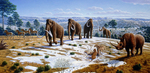 woolly mammoth (Mammuthus primigenius), woolly rhinoceros (Coelodonta antiquitatis), European ca...