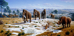 ...woolly mammoth (Mammuthus primigenius), woolly rhinoceros (Coelodonta antiquitatis), European ca