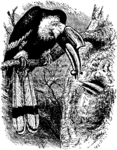 great hornbill (Buceros bicornis)