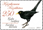 common blackbird, Eurasian blackbird (Turdus merula)