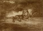 lion (Panthera leo)