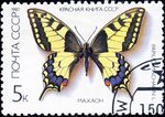 Old World swallowtail, common yellow swallowtail (Papilio machaon)