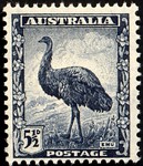 common emu (Dromaius novaehollandiae)