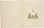 crab-eating macaque (Macaca fascicularis)