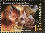 common vampire bat (Desmodus rotundus)