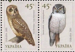 short-eared owl (Asio flammeus), northern hawk-owl (Surnia ulula)