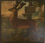 red deer (Cervus elaphus)