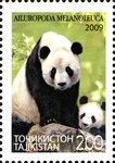 giant panda (Ailuropoda melanoleuca)