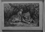 tiger (Panthera tigris)