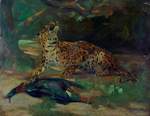 leopard (Panthera pardus)