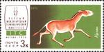 Asiatic wild ass, onager (Equus hemionus)