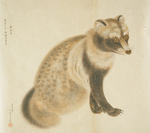 raccoon dog (Nyctereutes procyonoides)