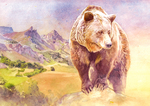 brown bear (Ursus arctos)