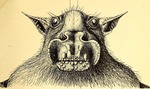 hammer-headed bat (Hypsignathus monstrosus)