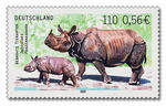 Indian rhinoceros (Rhinoceros unicornis)