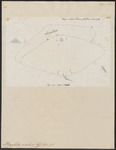spiny butterfly ray (Gymnura altavela)