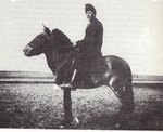 Przewalski's horse (Equus ferus przewalskii)