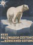 polar bear (Ursus maritimus)