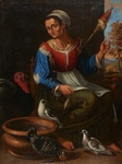 domesticated turkey (Meleagris gallopavo)