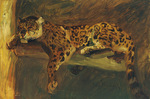 jaguar (Panthera onca)