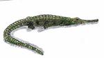 Teleosaurus