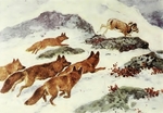 dhole (Cuon alpinus), argali (Ovis ammon)