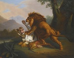 Lion (Panthera leo), tiger (Panthera tigris)