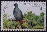 Christmas imperial pigeon (Ducula whartoni)