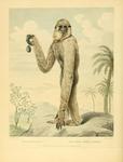 lar gibbon (Hylobates lar)