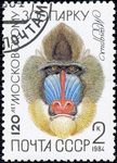 mandrill (Mandrillus sphinx)