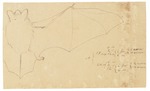 Natterer's bat (Myotis nattereri)
