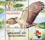 great Philippine eagle (Pithecophaga jefferyi)