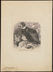 Andean condor (Vultur gryphus)