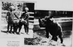 Sumatran rhinoceros (Dicerorhinus sumatrensis)