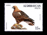 eastern imperial eagle (Aquila heliaca)