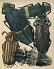 Animal Art : Beetles