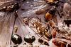Stuffs : Bugs