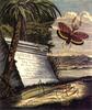 Animal Art : Insect