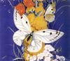 Animal Art : Butterflies